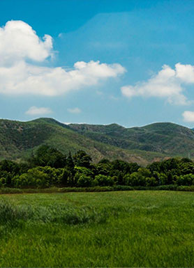 The Vanantram Farms